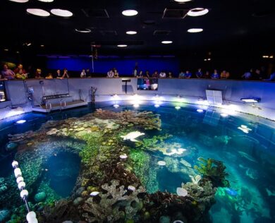 New England Aquarium