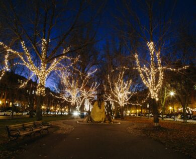 Lights on Commonwealth Avenue Downtown Boston Back Bay